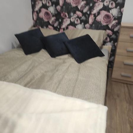 Walbrzych Pilsuckiego News Apartamentアパートメント エクステリア 写真