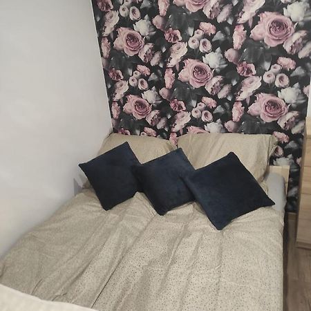 Walbrzych Pilsuckiego News Apartamentアパートメント エクステリア 写真