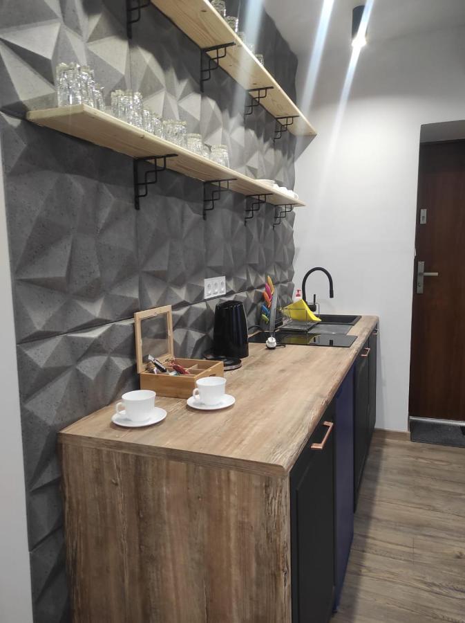 Walbrzych Pilsuckiego News Apartamentアパートメント エクステリア 写真