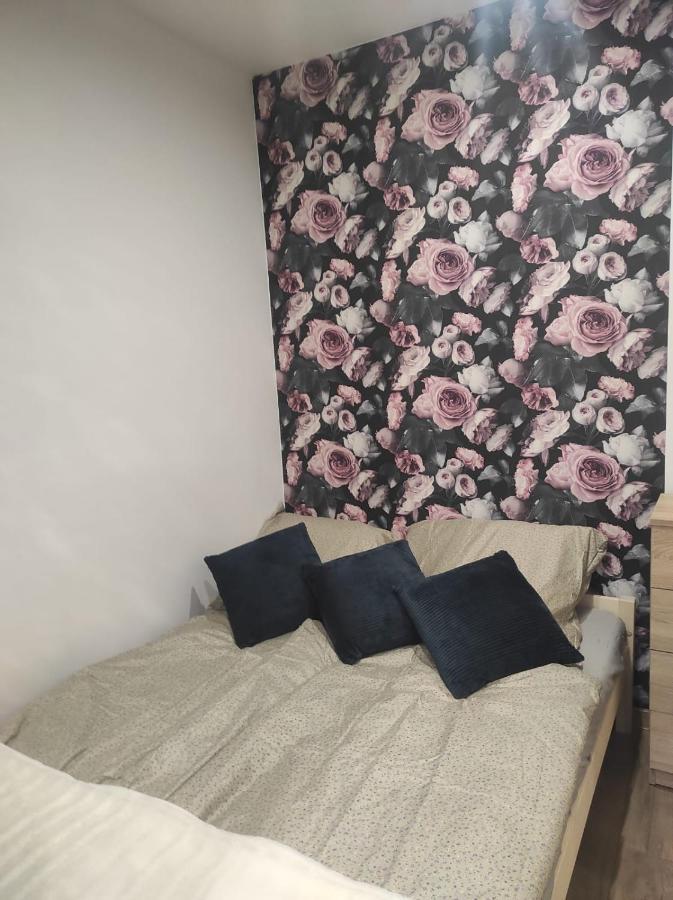 Walbrzych Pilsuckiego News Apartamentアパートメント エクステリア 写真