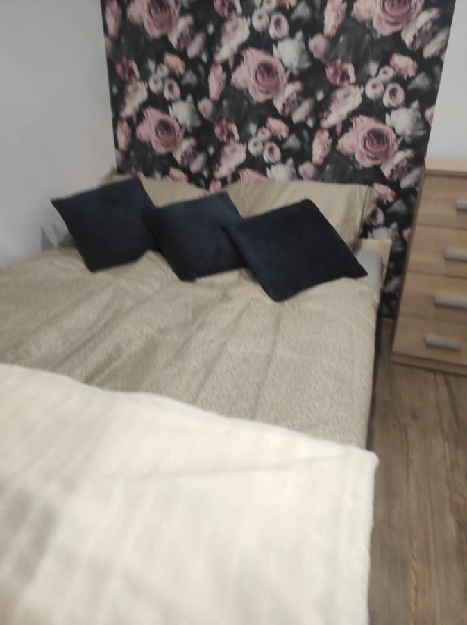 Walbrzych Pilsuckiego News Apartamentアパートメント エクステリア 写真