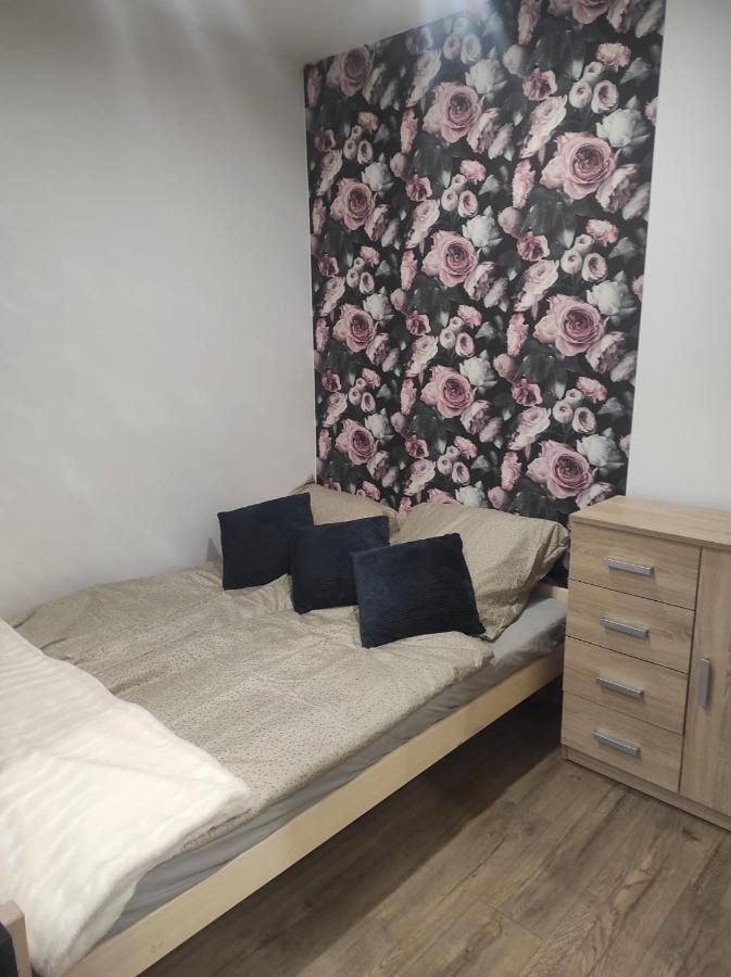 Walbrzych Pilsuckiego News Apartamentアパートメント エクステリア 写真