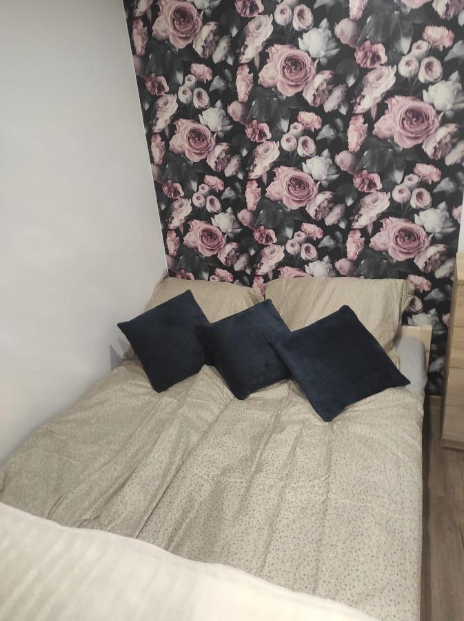 Walbrzych Pilsuckiego News Apartamentアパートメント エクステリア 写真